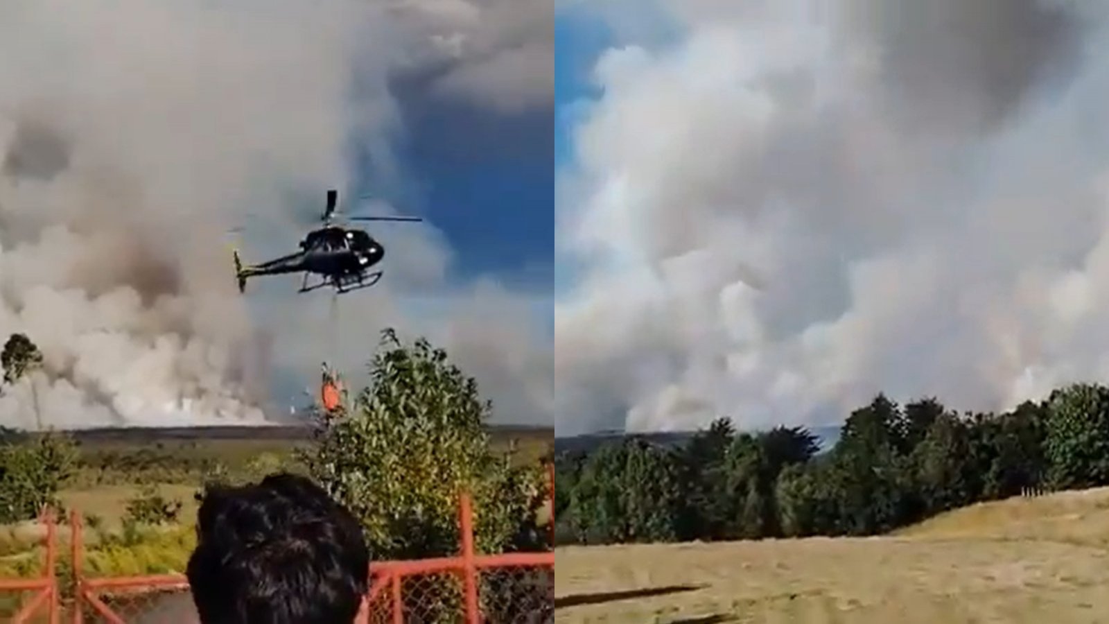 Puerto Montt: Senapred solicita evacuar sector de Las Canchas por incendio forestal