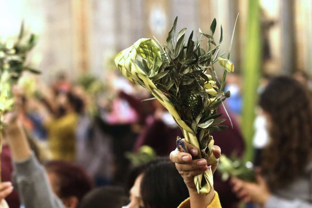 A las 12:00 horas de este domingo cientos de fieles llegaron hasta las dependencias de la Catedral de Santiago para la Santa Misa presidida por el Arzobispo de Santiago, cardenal Celestino Aós para celebrar el Domingo de Ramos. La instancia retomó la presencialidad de esta fecha para los religiosos.