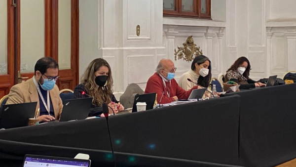 Foto: Convención Constitucional.