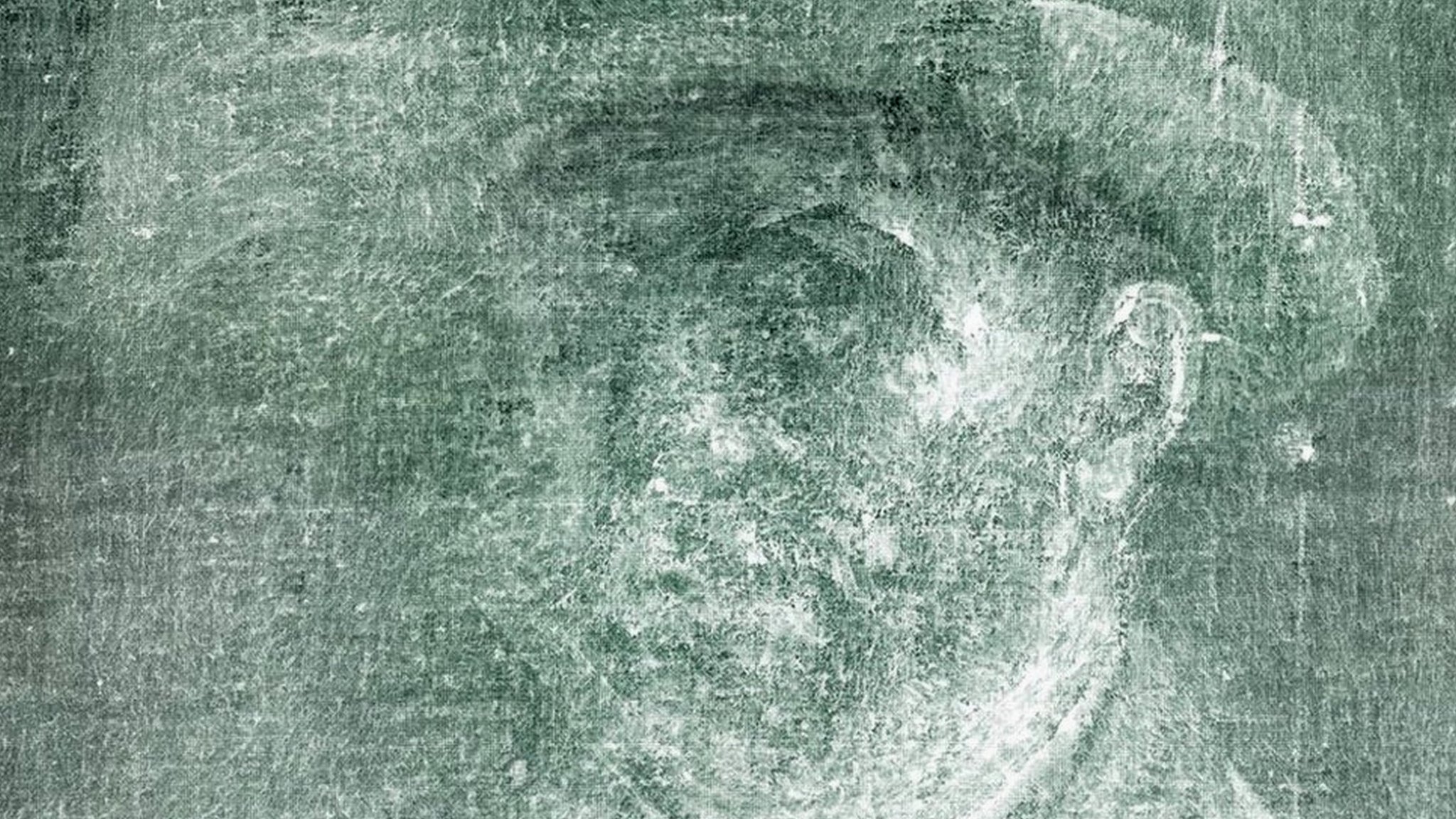Una imagen de rayos X que muestra la pintura oculta de Vincent van Gogh