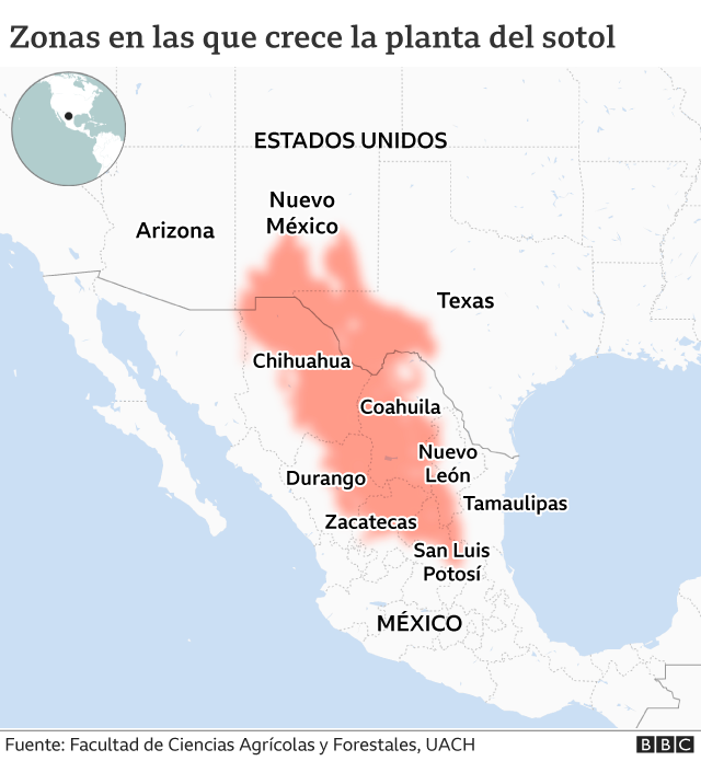 Mapa de las zonas en las que crece la planta del sotol