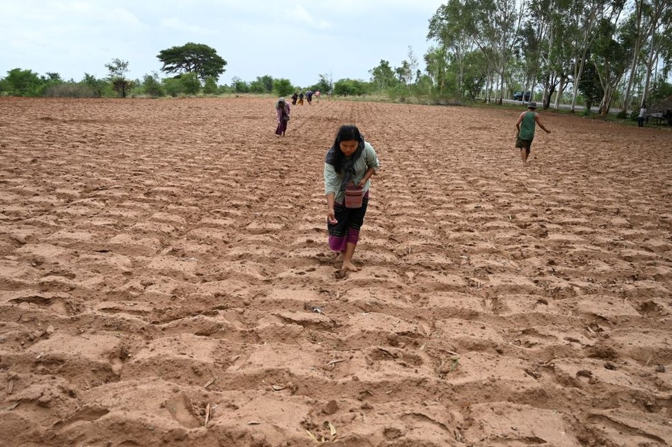 Granjeros cultivan tierra en Magway, foto del 7 de julio de 2019