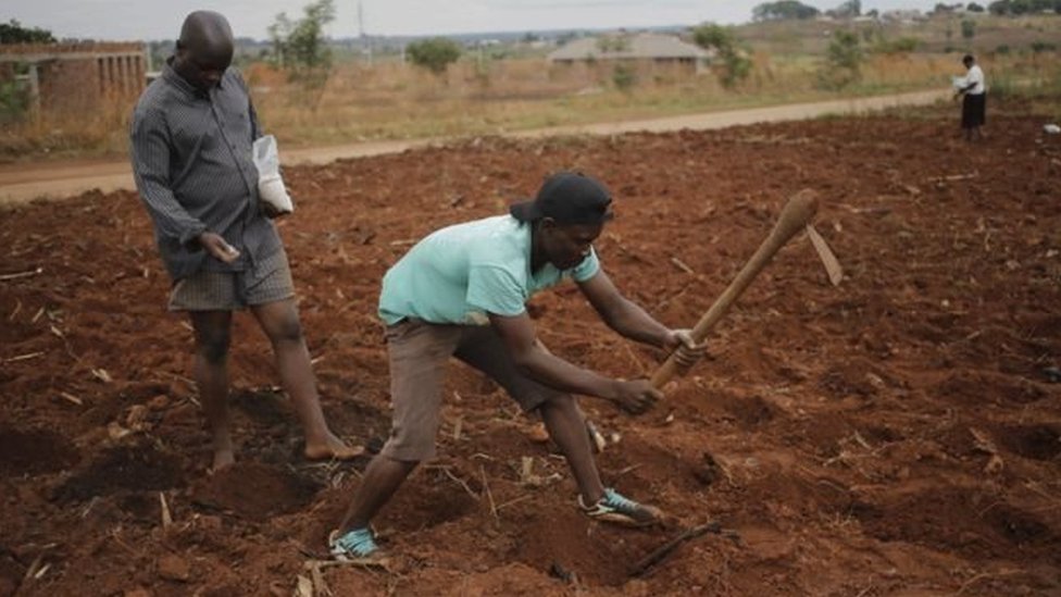 Agricultores en Zimbabue