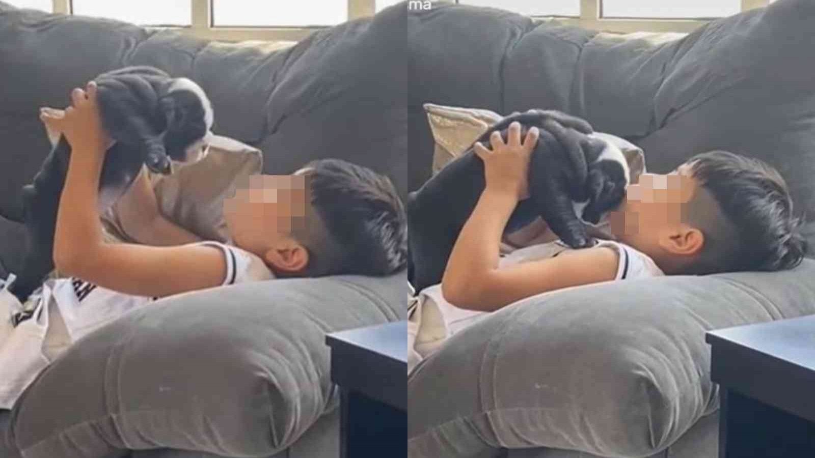 Niño abraza y le canta una salsa a su perro