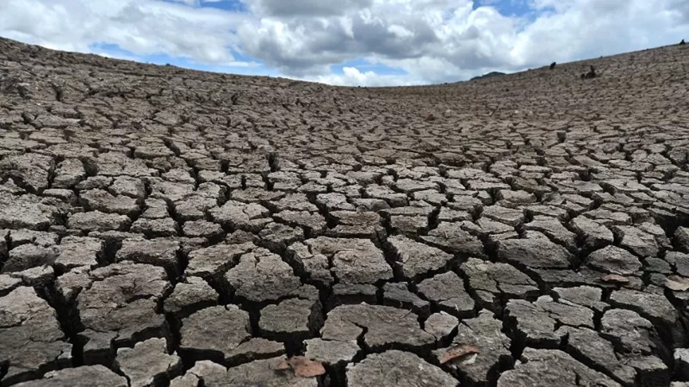 Tierra resquebrajada por la sequía
