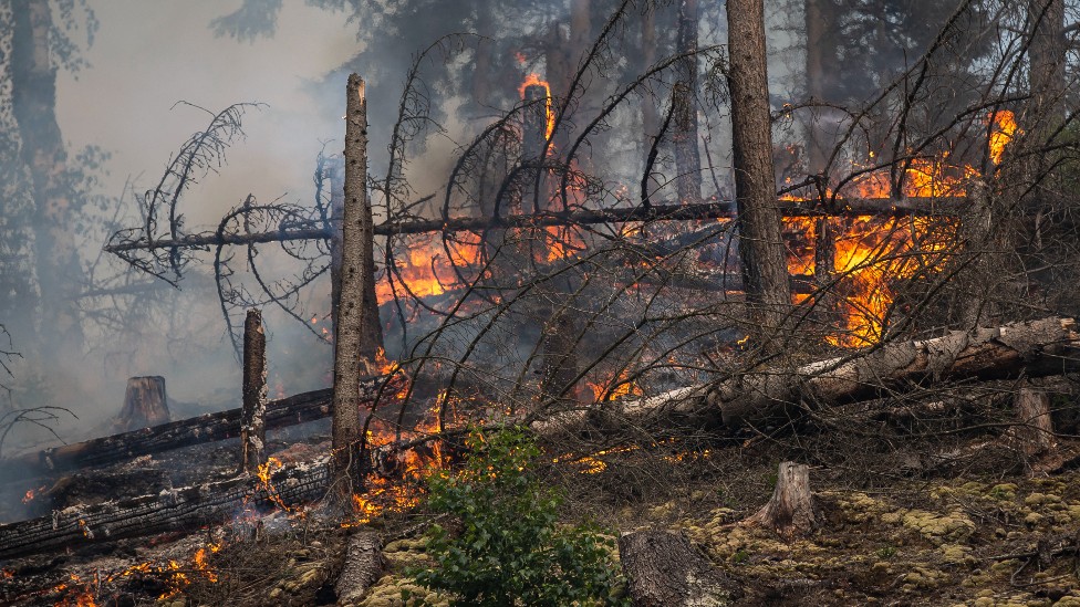 Incendios