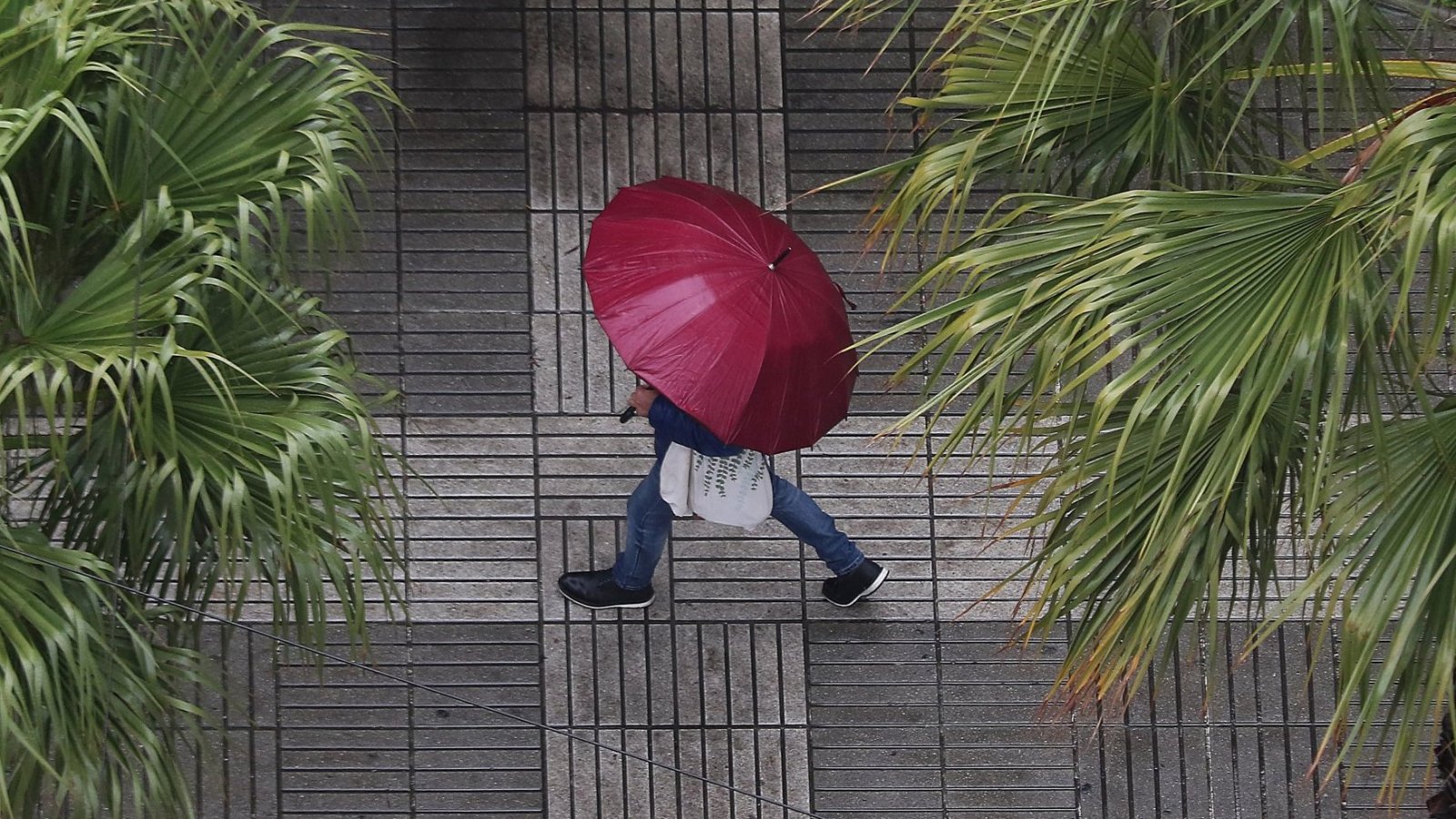 Todo el día sábado podrían caer lluvias en Santiago, con hasta 25 milímetros