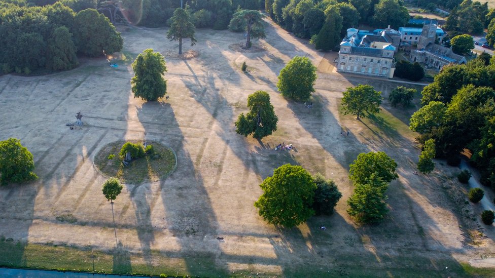 Las impresiones en el suelo muestran jardines antiguos en Lydiard Park.