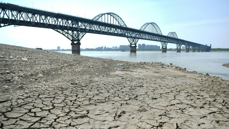 Una sección del lecho de un río reseco a lo largo del río Yangtsé en Jiujiang.