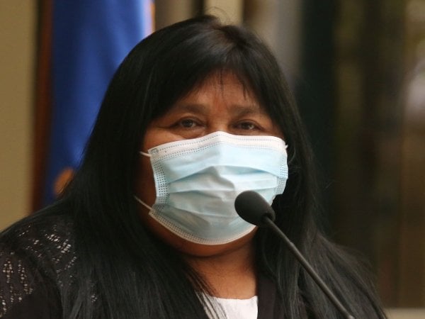 Emilia Nuyado en un punto de prensa del Congreso