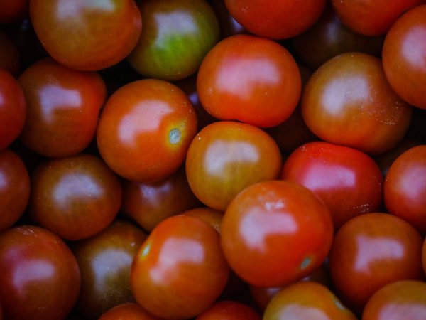 Los tomates fueron de los productos que más bajaron su precio en agosto