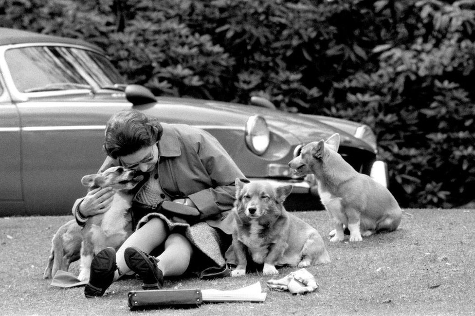 La reina, sentada en un banco cubierto de hierba con los corgis, en Virginia Water para ver a los competidores, incluido el príncipe Felipe en el Maratón del Campeonato Europeo de Conducción, parte del Royal Windsor Horse Show, en 1973.