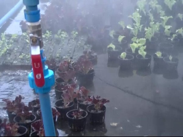 Lanzan fondos para la innovación agraria 24horas