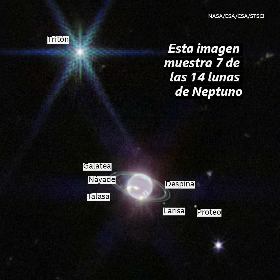 Imagen de 7 de las lunas de Neptuno captadas por el James Webb