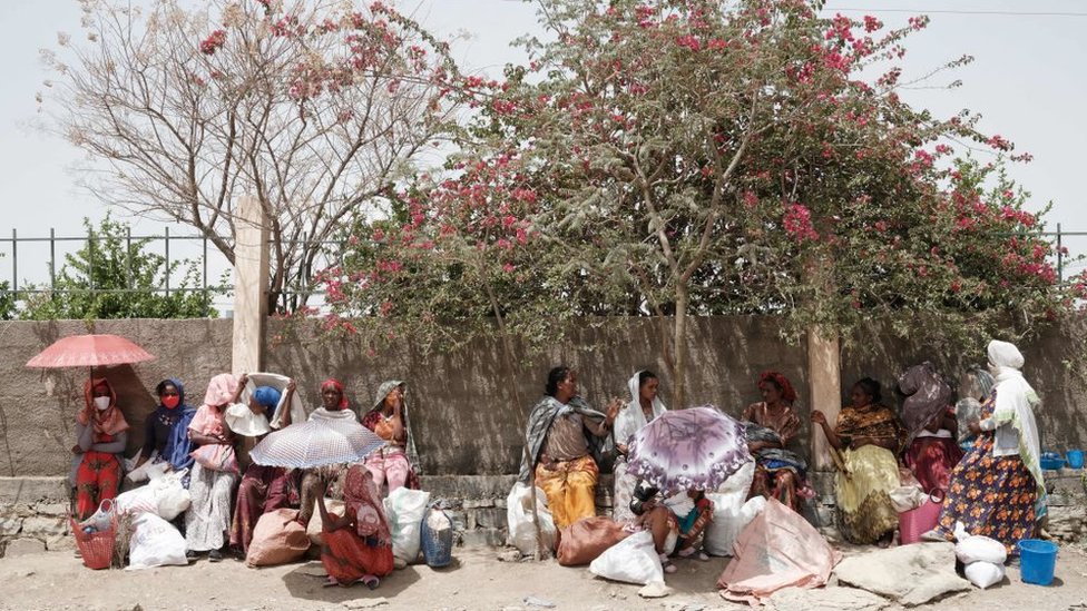 Refugiados bajo un árbol.