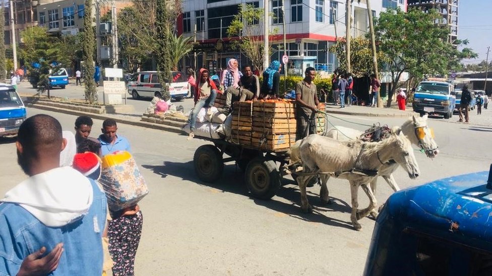 Una familia viajando en un carro tirado por burros.