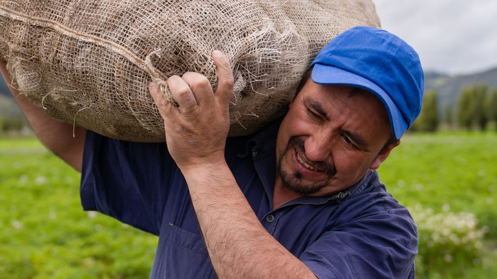 Trabajador en el campo