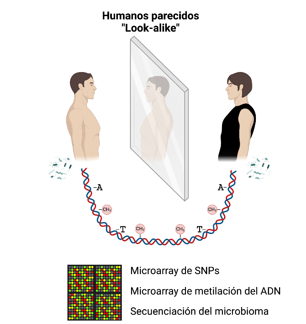 Gráfico del estudio con una imagen espejo de dos personas