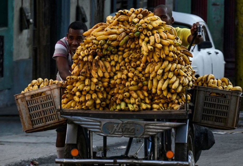 Dos hombres llevando un carro con babanas.