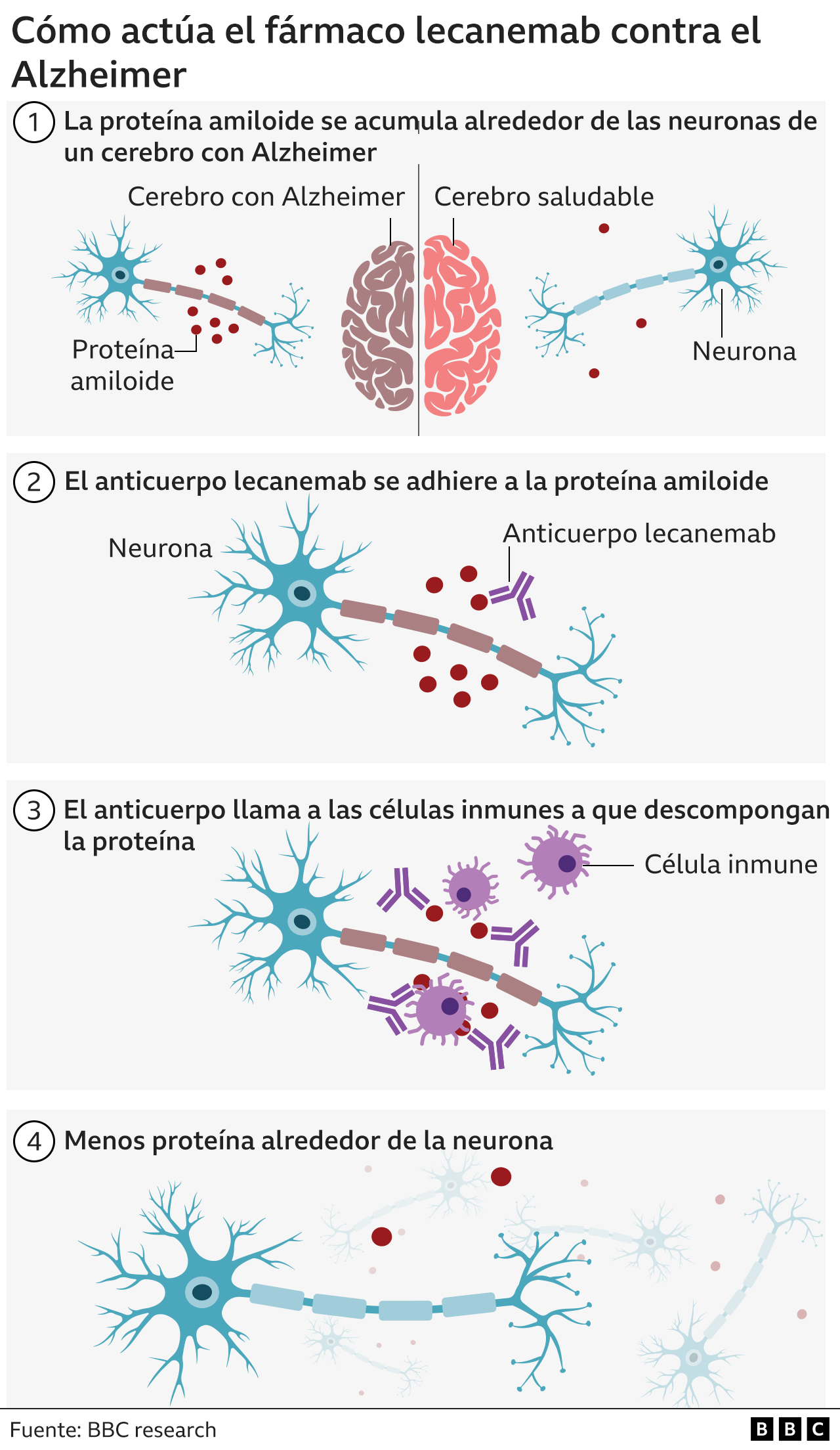 Gráfico que muestra cómo funciona lecanemab