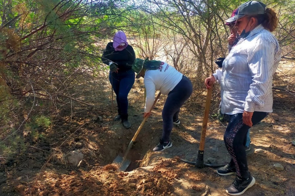 Madres buscando en el monte