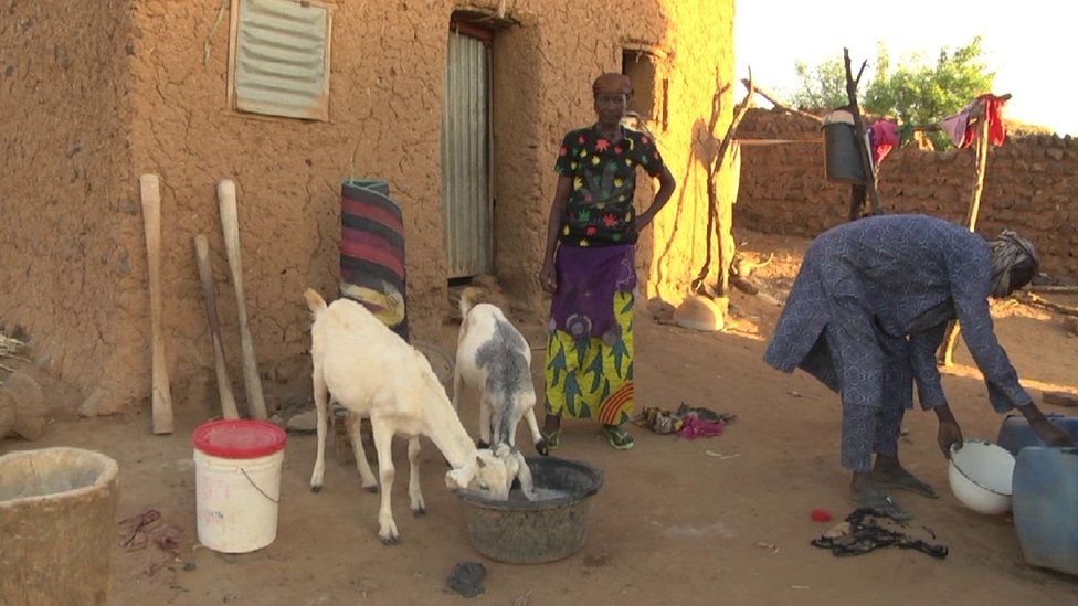 Hadizatou Mani in a yard with some goats