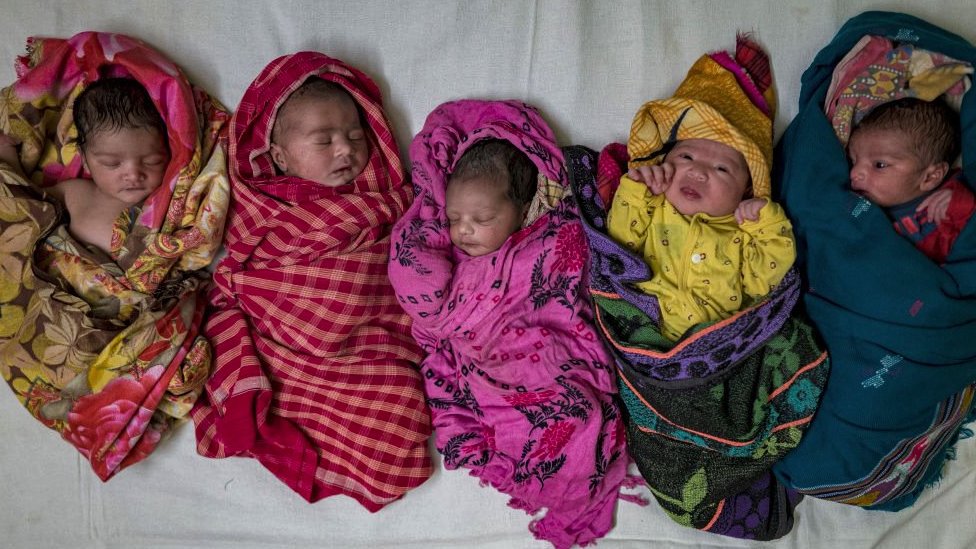 Bebés recién nacidos sobre una cama en un hospital de distrito en Noida, Uttar Pradesh, India.