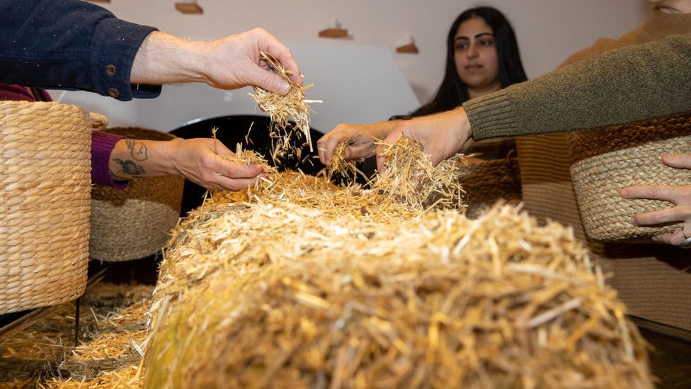 Paja y astillas de madera se utilizan en el proceso de compostaje humano.