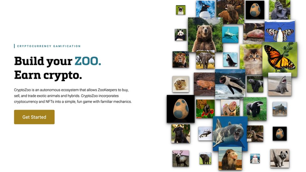 La página web de CryptoZoo