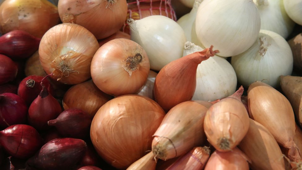 Varios tipos de cebolla