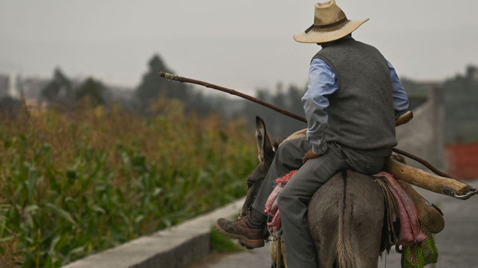 Un campesino en Arequipa, Perú, monta sobre un burro y al fondo se ve el campo.