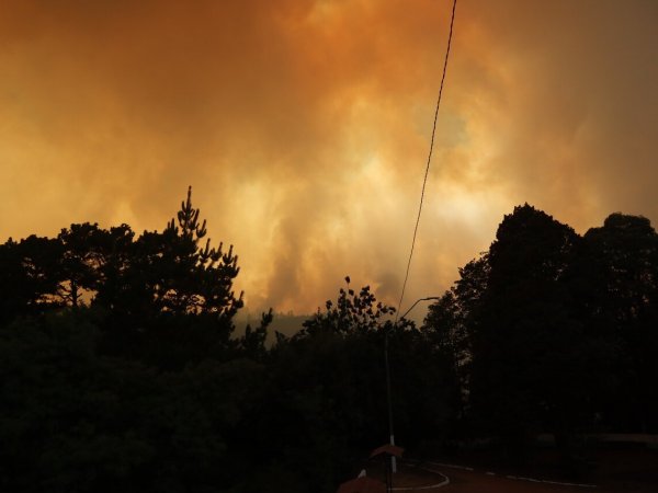 Incendios forestales: conoce los derechos de los trabajadores/as ante emergencias