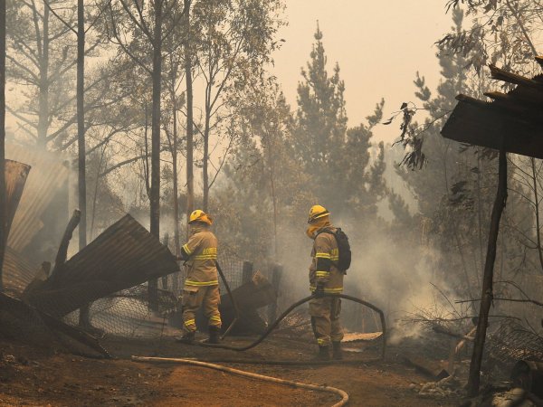 Incendios forestales: conoce los derechos de los trabajadores/as ante emergencias
