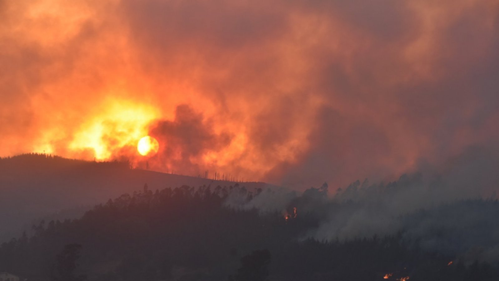 Revelan impactantes imágenes aéreas de incendios forestales en Biobío y La  Araucanía | 24horas