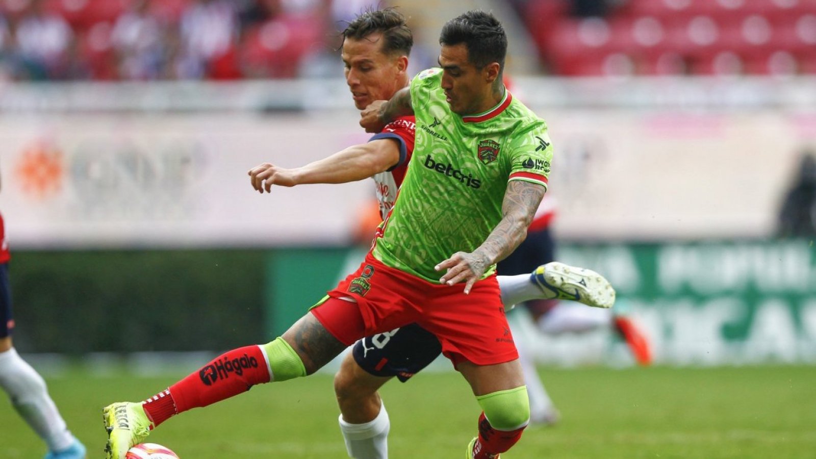 Un ex Colo Colo lo aconsejó Darío Lezcano es presentado como refuerzo