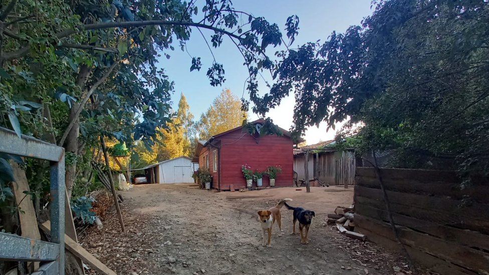 La propiedad de los Cortés