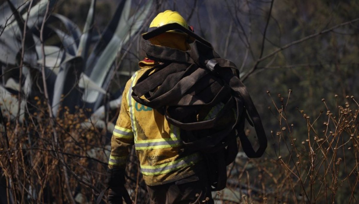 Delegado presidencial del Maule y alerta ante eventuales incendios