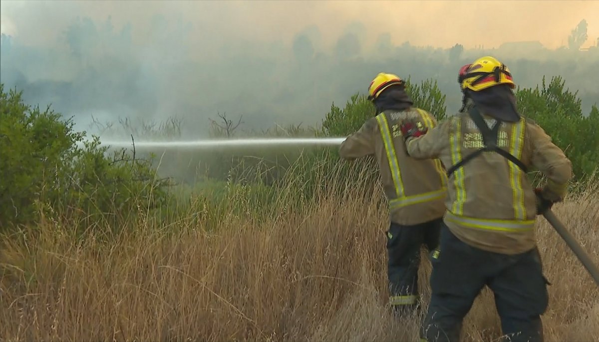 La heroica labor de Bomberos para combatir los incendios | 24horas