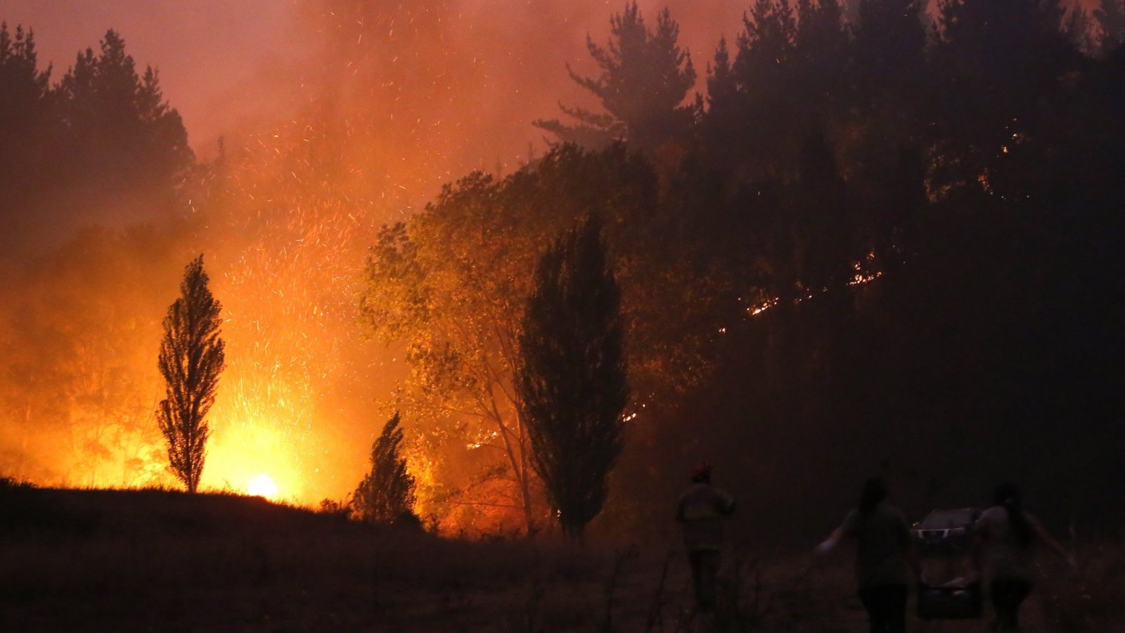 Balance incendios forestales: hay 326 incendios a nivel nacional y 89 en  combate | 24horas