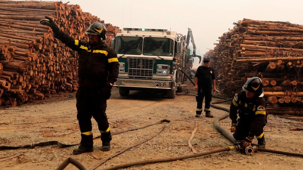 Bomberos trabajan en una explotación forestal con troncos almacenados.