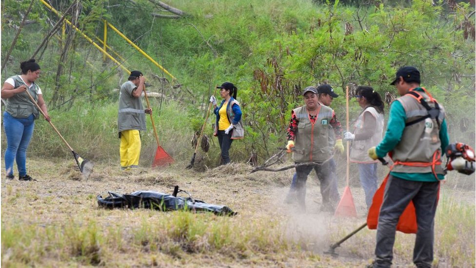 Los operativos de limpieza buscan eliminar los criaderos del mosquito.