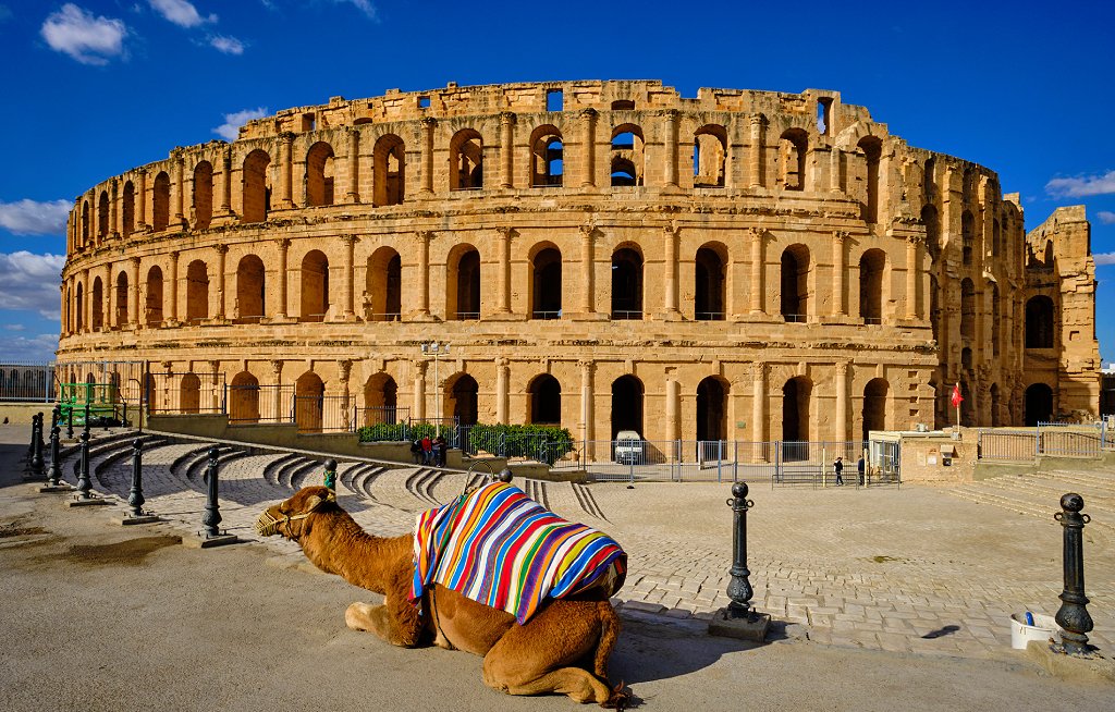 Camello fuera del anfiteatro de El Djem