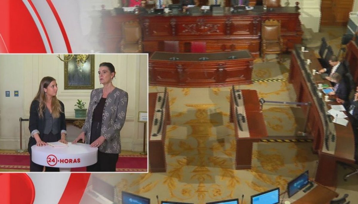 Presidenta de Comisión Experta 