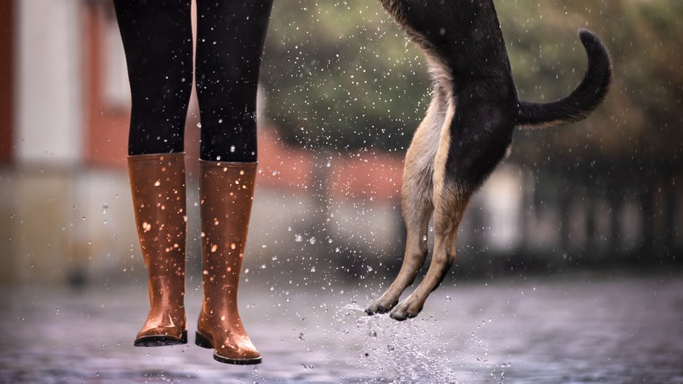 Una mujer y un perro brincan en un charco.