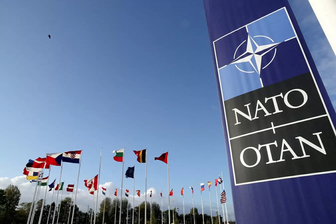 Logo de la OTAN (en inglés NATO) y banderas de los países miembros
