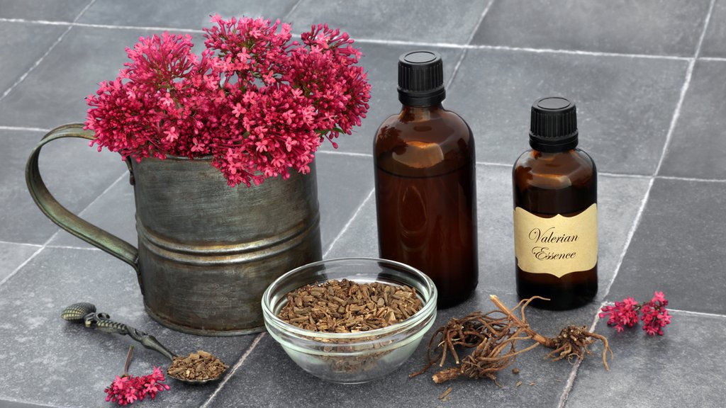Valeriana, flores y esencia