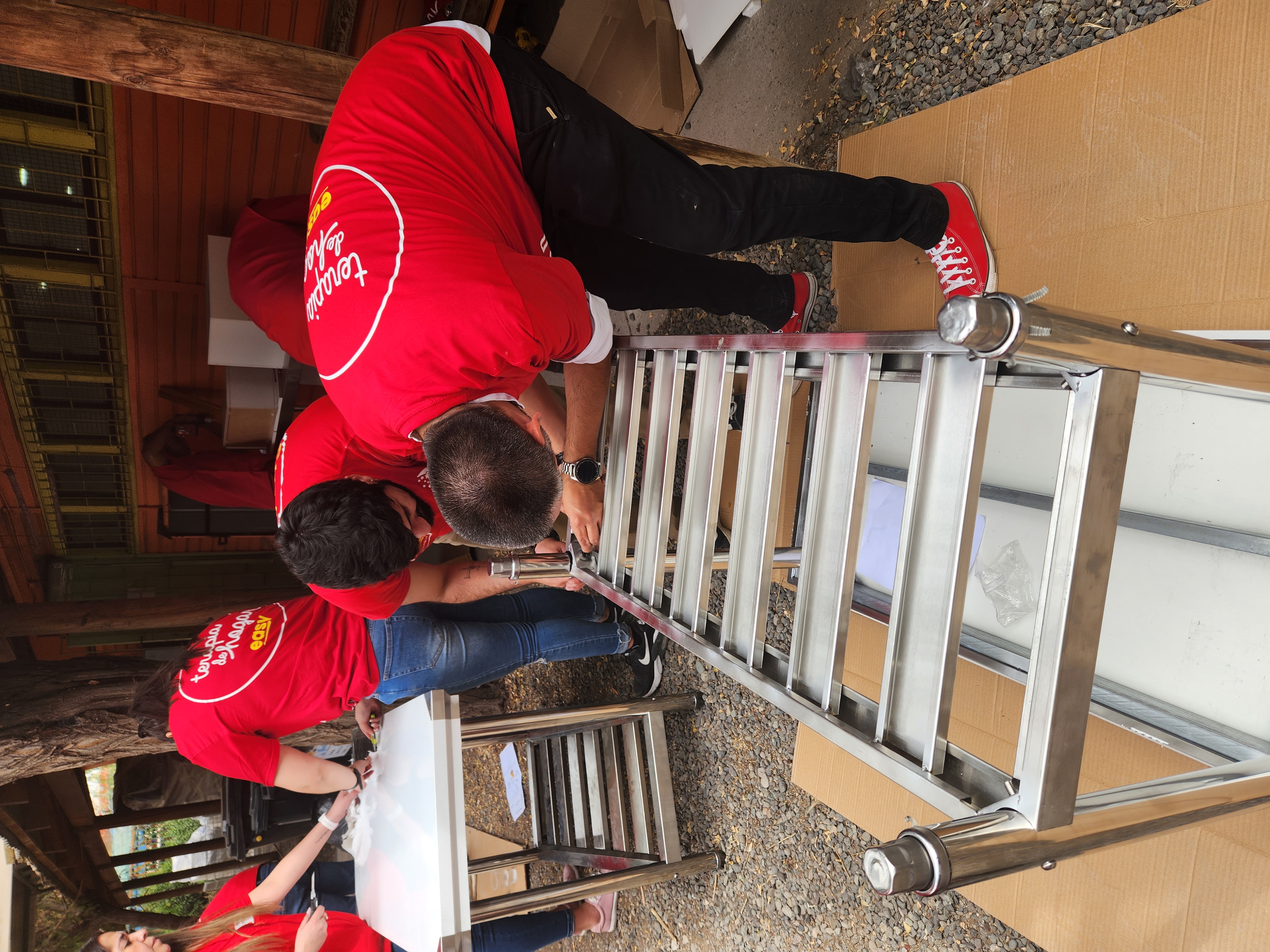 Voluntarios de terapia de hogar trabajando.