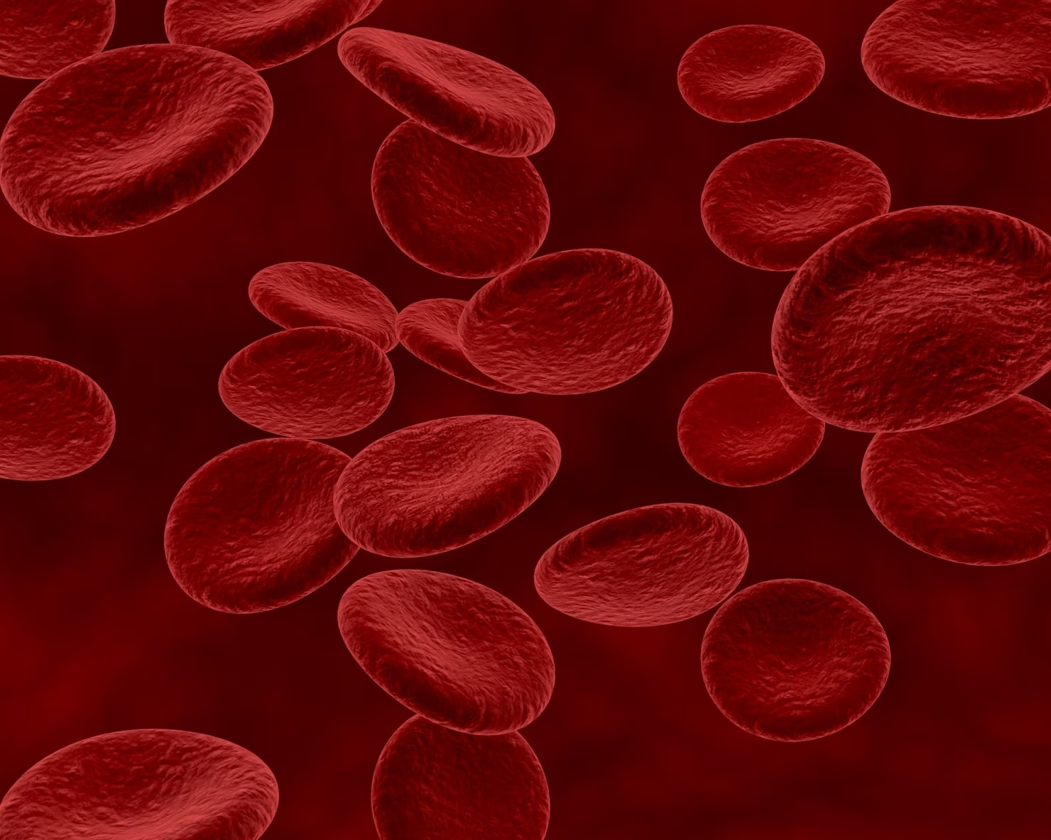 Imagen de glóbulos rojos.