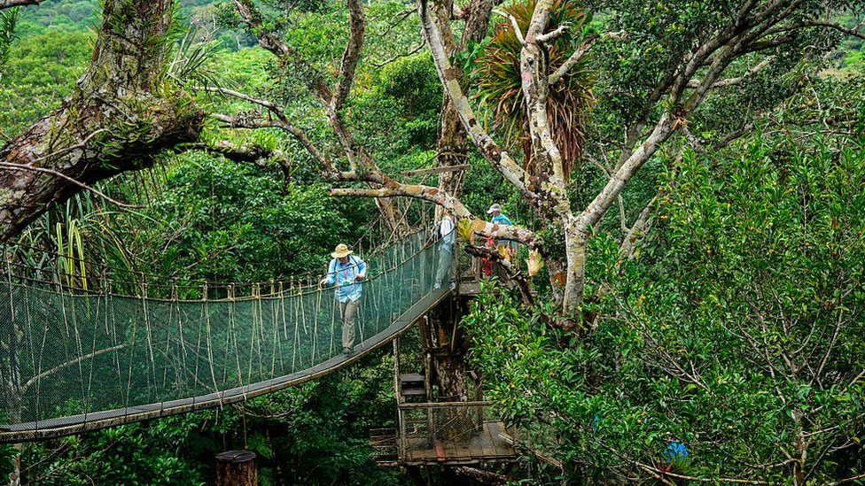 Puentes de suspensión