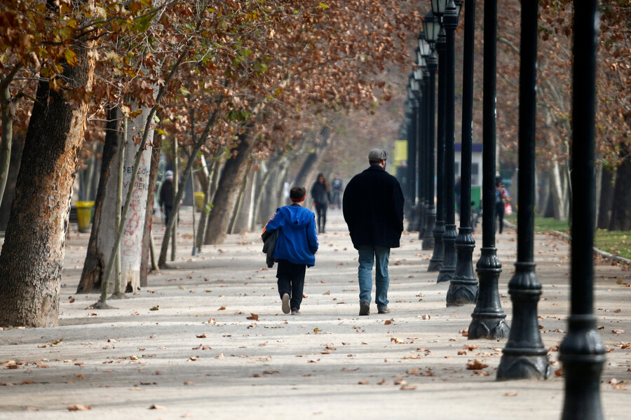 Padre e hijo caminando por el parque. Día del Padre.